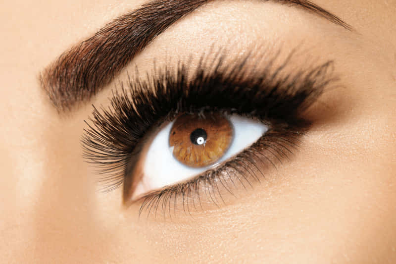tratamientos para cejas y cuidados